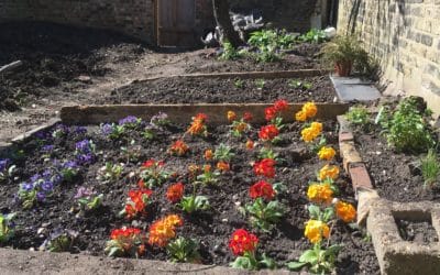 Corona Virus Cancellations – and a Thank You